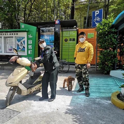 《植物大战僵尸》植物攻略：深度解析强力植物技能，助你轻松通关