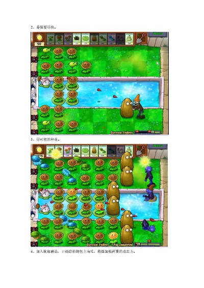 《植物大战僵尸》8炮流攻略：解锁1024关生存挑战秘籍大揭秘