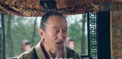 乱武成就揭秘：贾诩真面目，乱世中的智谋毒士？