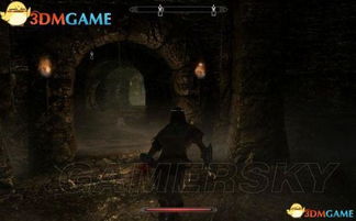 上古卷轴4重制版神秘系训练师隐藏位置大揭秘！