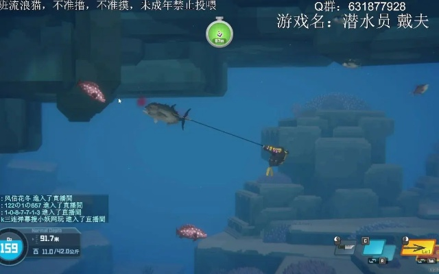 《戴夫夜潜攻略：解锁夜游鱼类全解析》