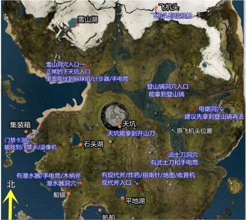 《森林之子地图攻略：隐藏点位深度揭秘》