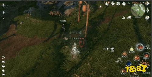 逆水寒掷骰技巧揭秘：物品掷骰系统攻略，轻松提升胜率