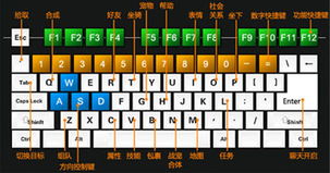 《七日世界》快捷键攻略：高效操作必备！