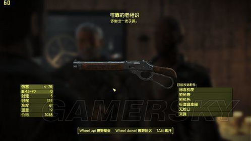 《辐射4》港湾惊魂武器装备攻略：独家获取秘籍！