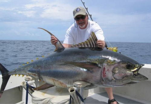 《剑星》钓鱼全攻略：一网打尽珍稀鱼类视频教程