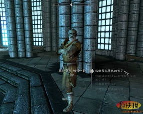 《上古5：炉火》大Bug规避指南，轻松避坑！