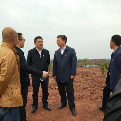 《环形战争》武器升级必备：1-70级强化材料消耗一览