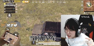 国服独享“怀中怀服”魅力，韩国玩家热议：老外都馋哭了！