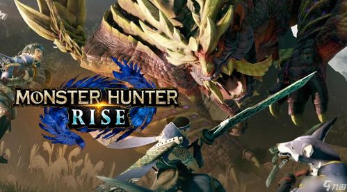 曙光吸血大剑完美配装攻略：揭秘《怪物猎人崛起》装备搭配新高度