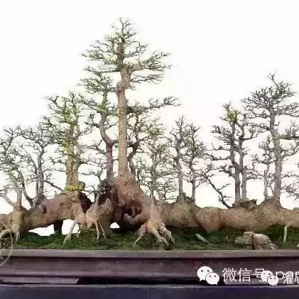 2013年度十大必玩佳作盘点，期待新巅峰之作