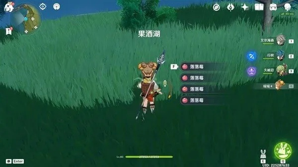 《原神》4.3诺艾尔必备：高效落落莓采集技巧解析