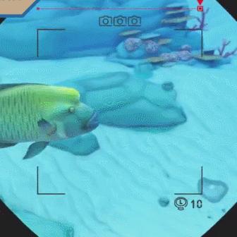 《山寨VR：资本追捧下的10元电子废品揭秘》

《揭秘：资本热捧的VR如何沦为10元电子垃圾》

《从资本宠儿到10元垃圾，山寨VR的兴衰之路》

《10元电子垃圾背后：揭秘山寨VR的资本迷局》

《资本追逐下的悲剧：山寨VR沦为10元电子废品》