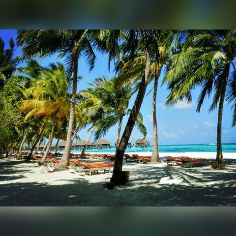 《死亡岛2》带锁箱子钥匙全攻略：高效解锁保险柜秘籍