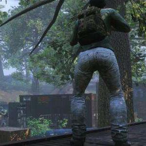 《H1Z1》手机绑定攻略：快速上手，安全畅玩！