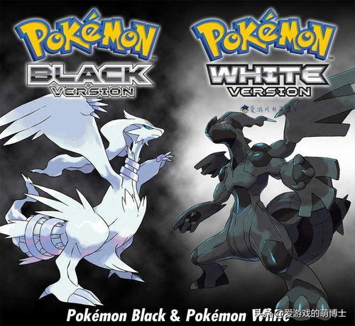 《数码宝贝时空异客》鹦鹉兽攻略：高效击败技巧解析！