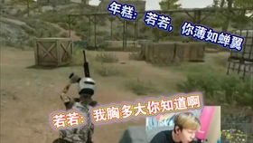 《鸡鸡的战争》JJ闯天涯：揭秘全新剧情模式！