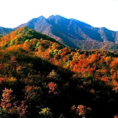 火山女儿浴场奇遇：黄昏假日事件揭秘