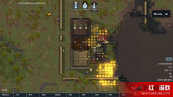 《雪居之地》高效生存攻略：解锁隐藏技巧