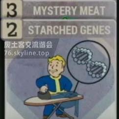 《辐射4》全Perk技能效果一览：升级攻略与绝密技巧揭秘