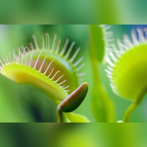 《我的世界》地图种子精选攻略：探索未知，开启奇幻冒险之旅