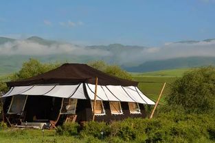 《古伦木基地攻略：草原营地挑战全解析》