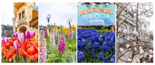 《勿忘我》原画美轮美奂，玩法挑战性十足！