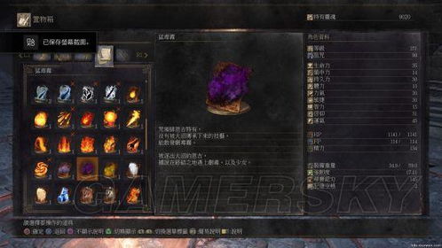 《黑暗之魂2：淹没之王王冠全收集攻略，轻松解锁！》