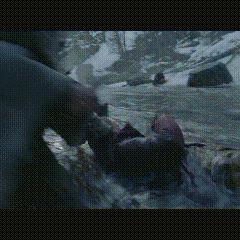 《荒野猎人》国区大降价！标准版仅需348元！🎮🔥