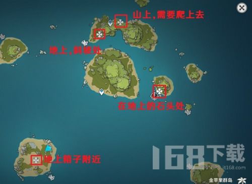 金苹果群岛海螺寻宝攻略，解锁神秘宝藏位置揭秘