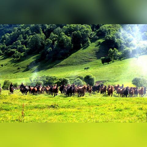 《星空》升级版：史诗级巨作，探索无界！