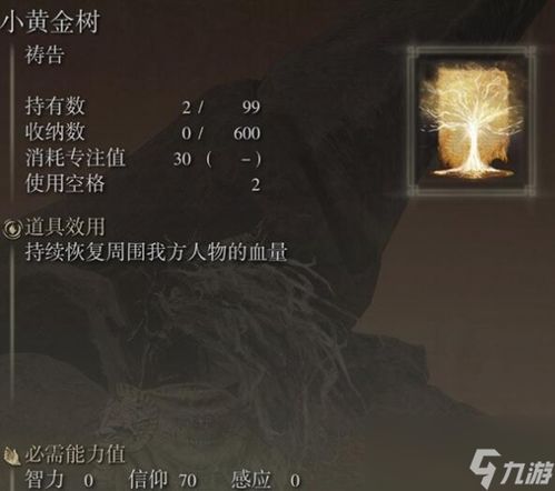 《艾尔登法环DLC黄金树迷宫攻略：黄金壶全解密》