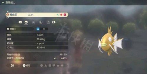 《宝可梦传说ZA》快速闪避技巧揭秘！轻松刷闪攻略大公开