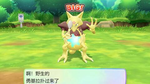 《宝可梦传说Z-A》伊布捕捉攻略：揭秘高效捕捉技巧，轻松捕获萌宠！