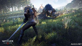 《巫师》系列销量破600万！续作明年震撼来袭