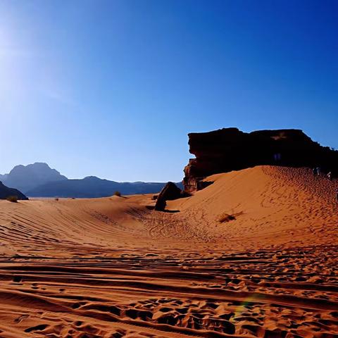 《红色沙漠》11月2日震撼发售，动作冒险巅峰体验不容错过！