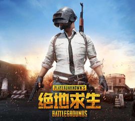 《绝地求生》新皮肤揭秘：玩家最爱竟是这款独特设计！