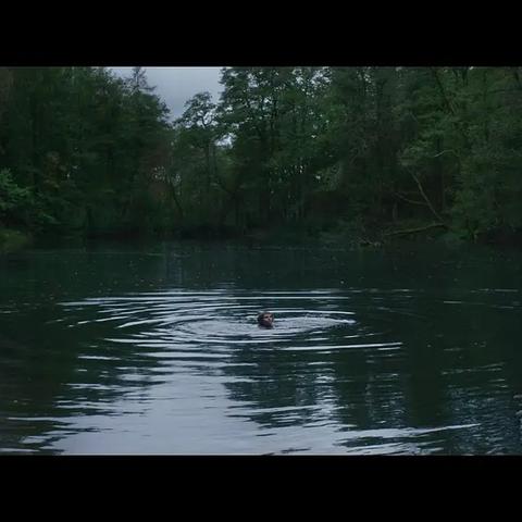 喜加二大放送！《小缇娜》与《地狱边境》免费领，独家秘籍解锁新体验