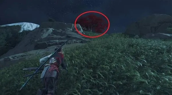 《羊蹄山之魂》攻略：高效获取求知斗笠秘籍，轻松升级！