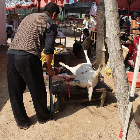 《羊蹄山之魂》武器大全攻略：全武器获取位置解析秘籍