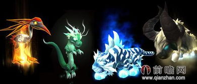 《魔兽世界》NGA领宠物攻略：新手必看高效技巧解析