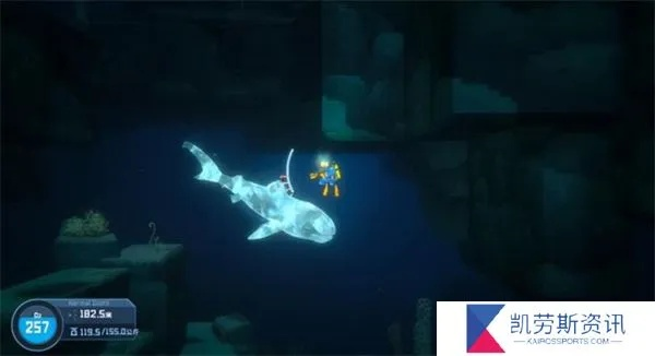 《戴夫潜水探秘：章鲨海域夜潜鱼类全解析》