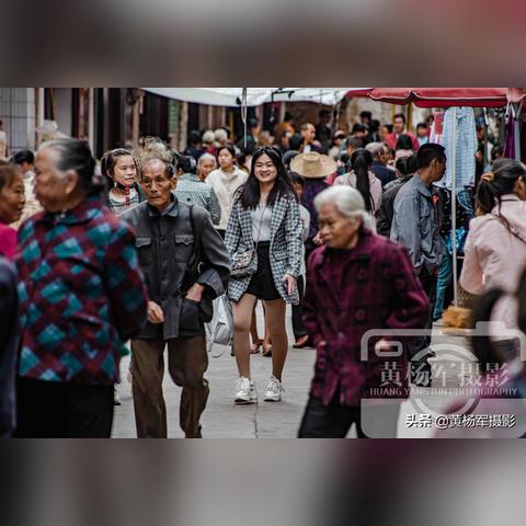 冬季作物盘点：《风之繁华集市》冬季作物价格与生长周期攻略大全