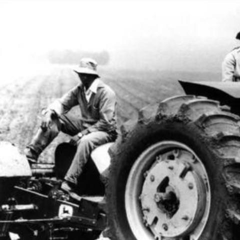 夏季丰收指南：揭秘《牧场物语风之繁华集市》作物价值与生长周期