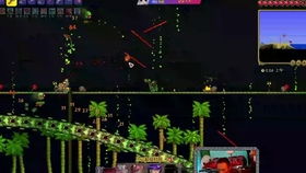 苔藓之母攻略：高效打法揭秘，轻松通关《空洞骑士丝之歌》