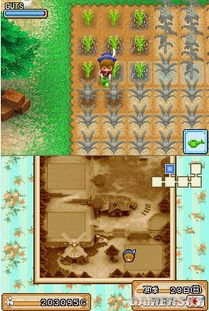 《风之繁华集市》耐力提升攻略：揭秘高效恢复耐力技巧