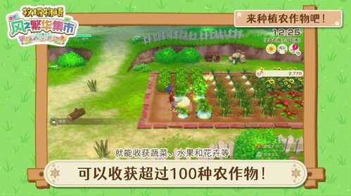 《牧场物语风之繁华集市》道具攻略：全获取与制作材料揭秘，轻松上手！