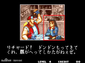 《饿狼传说》特瑞精简攻略：掌握群狼之城高效玩法技巧