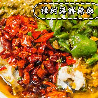 《地狱即我们》版本性价比解析：如何选最划算？揭秘高性价比之选