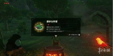 《波斯王子》新篇章：揭秘《塞尔达传说》灵感之作，探索未知王国宝藏